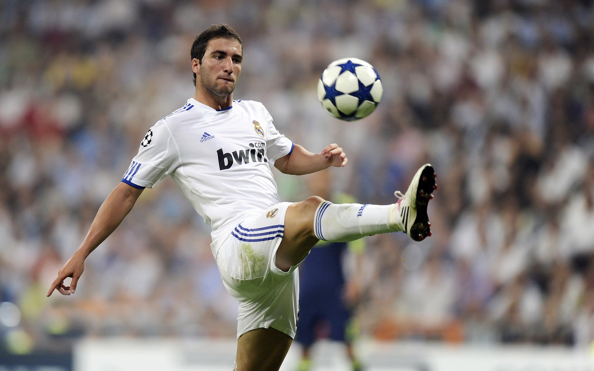 关于爱德华兹状态火爆，世俱杯四强战对阵利物浦，巴黎圣日耳曼力争逆转的信息